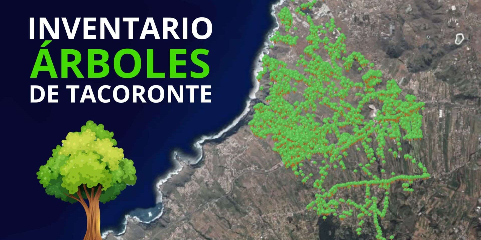 INVENTARIO DE ÁRBOLES DE TACORONTE
