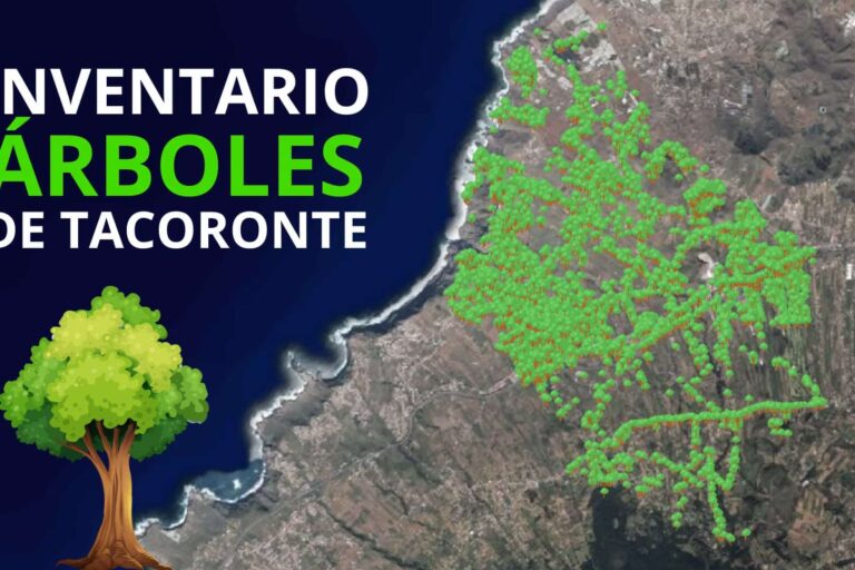 INVENTARIO DE ÁRBOLES DE TACORONTE