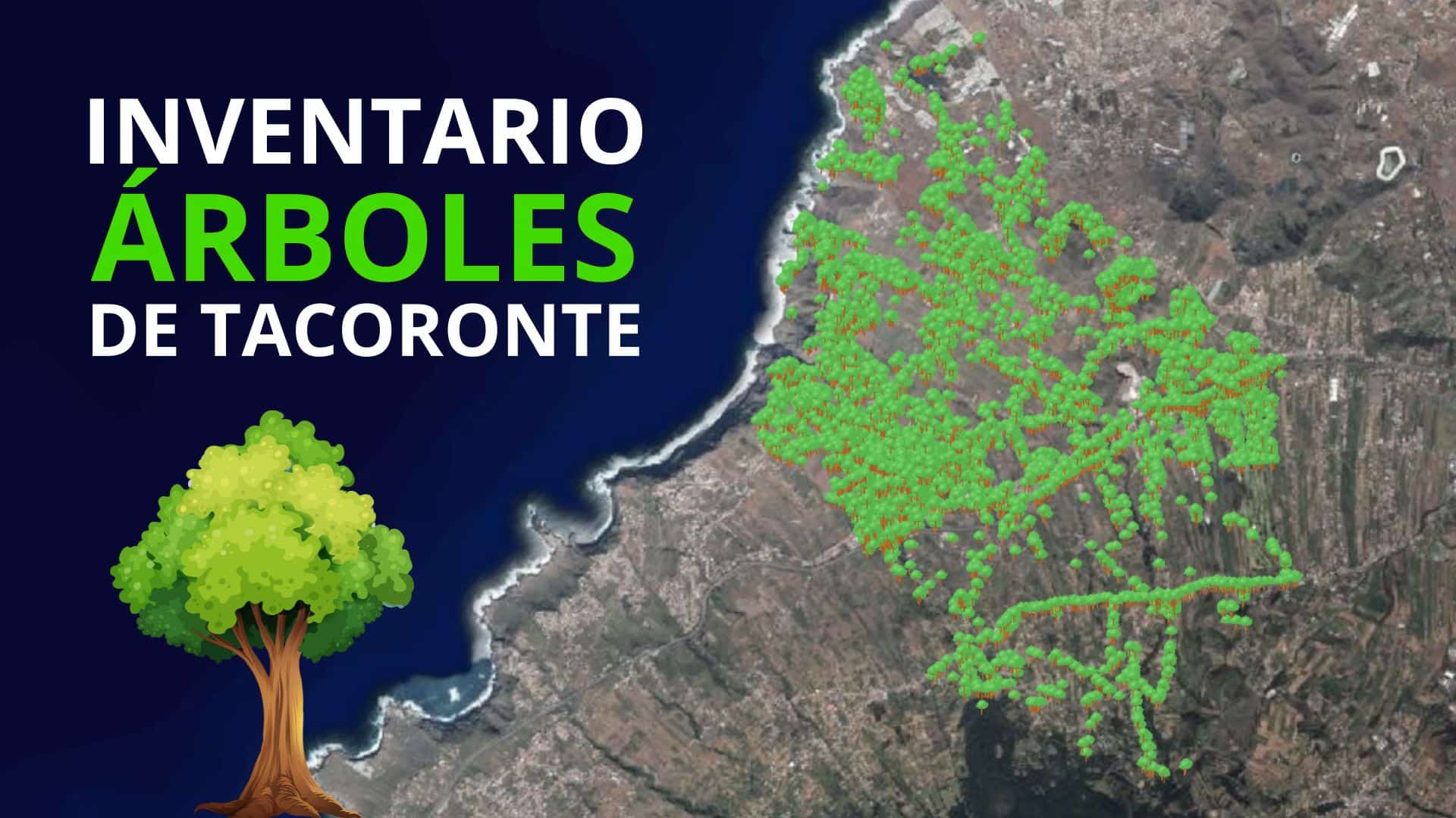 INVENTARIO DE ÁRBOLES DE TACORONTE