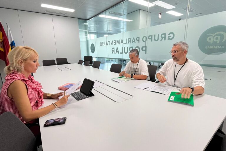 La diputada del Grupo Parlamentario Popular, Rebeca Paniagua, se reúne con representantes del Sindicato de Enfermería SATSE Canarias (2)