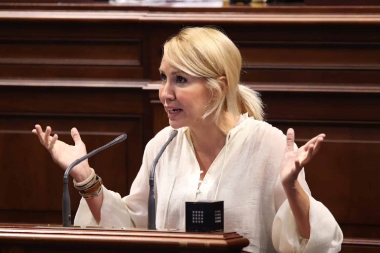PLENO 23-7-25 (4)