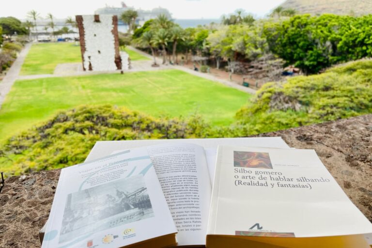 051025-imagen-de-recurso-dia-del-libro-la-gomera