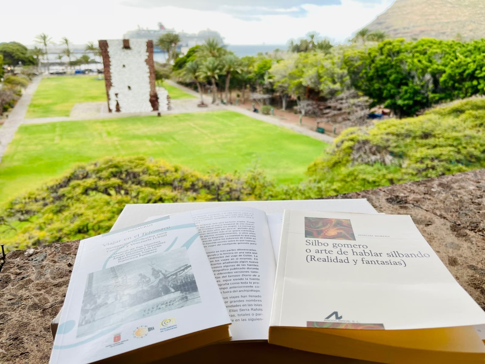 051025-imagen-de-recurso-dia-del-libro-la-gomera