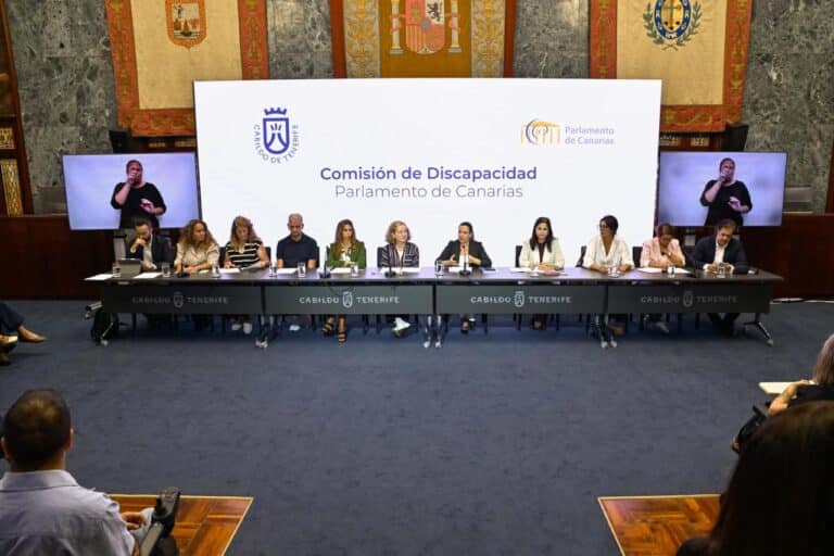 COMISIÓN DISCAPACIDAD 002