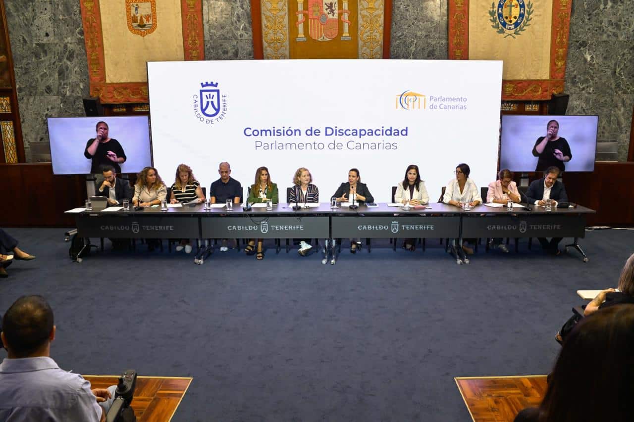 COMISIÓN DISCAPACIDAD 002