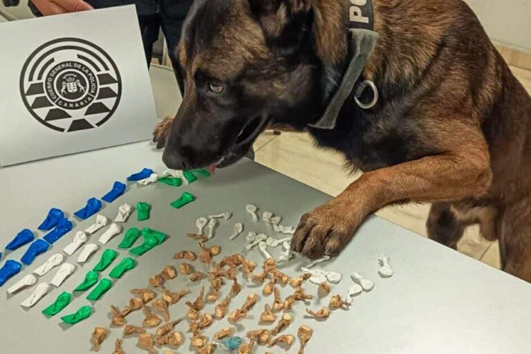LA POLICÍA CANARIA DETIENE A UN HOMBRE CON 90 DOSIS DE CRACK EN MORRO JABLE 20-10-25