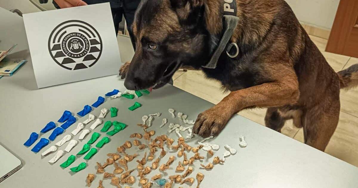 LA POLICÍA CANARIA DETIENE A UN HOMBRE CON 90 DOSIS DE CRACK EN MORRO JABLE 20-10-25
