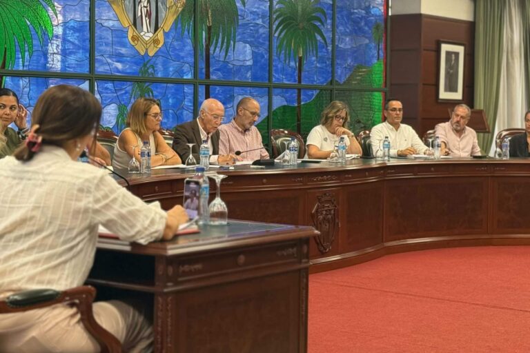 Pleno extraordinario Ayto Santa Úrsula