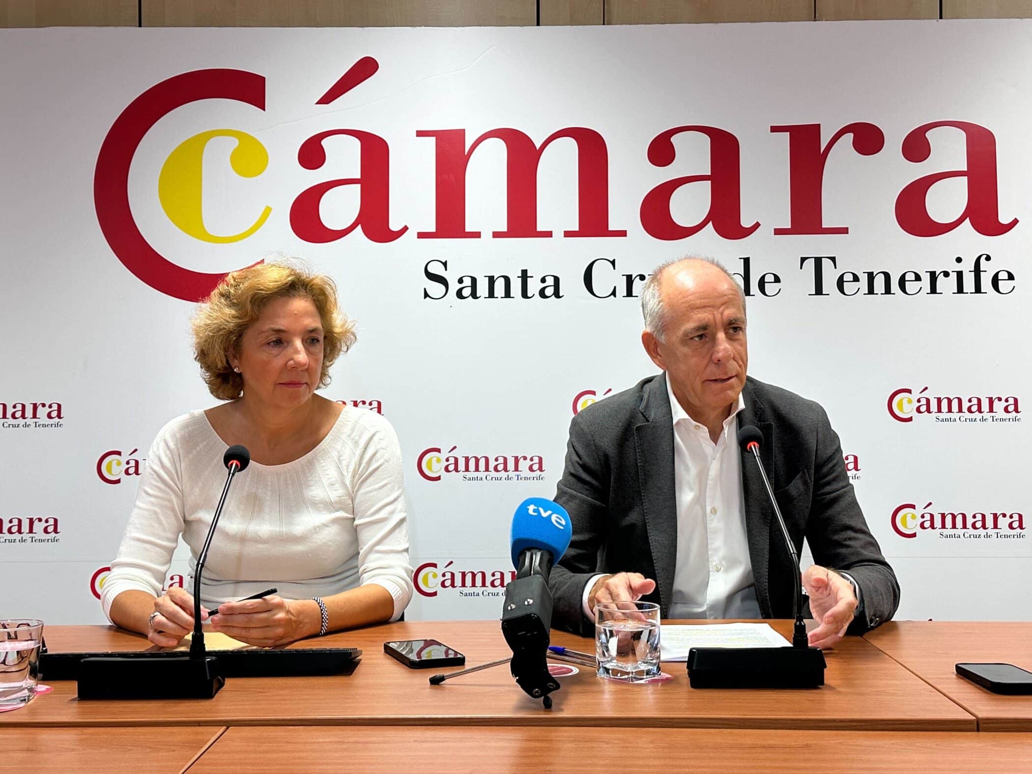 Presentación ICE (2)