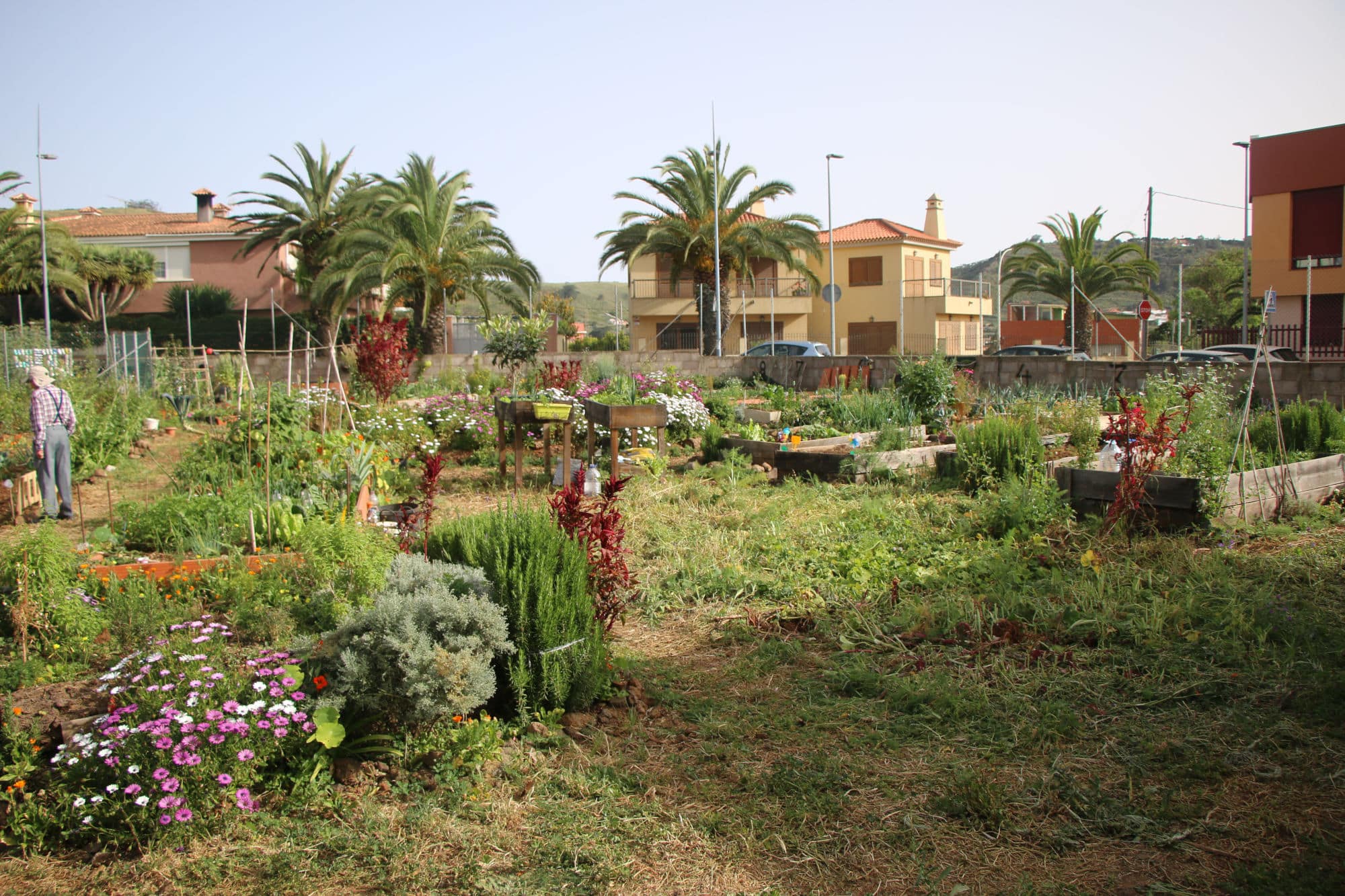 San Bonito Huerto