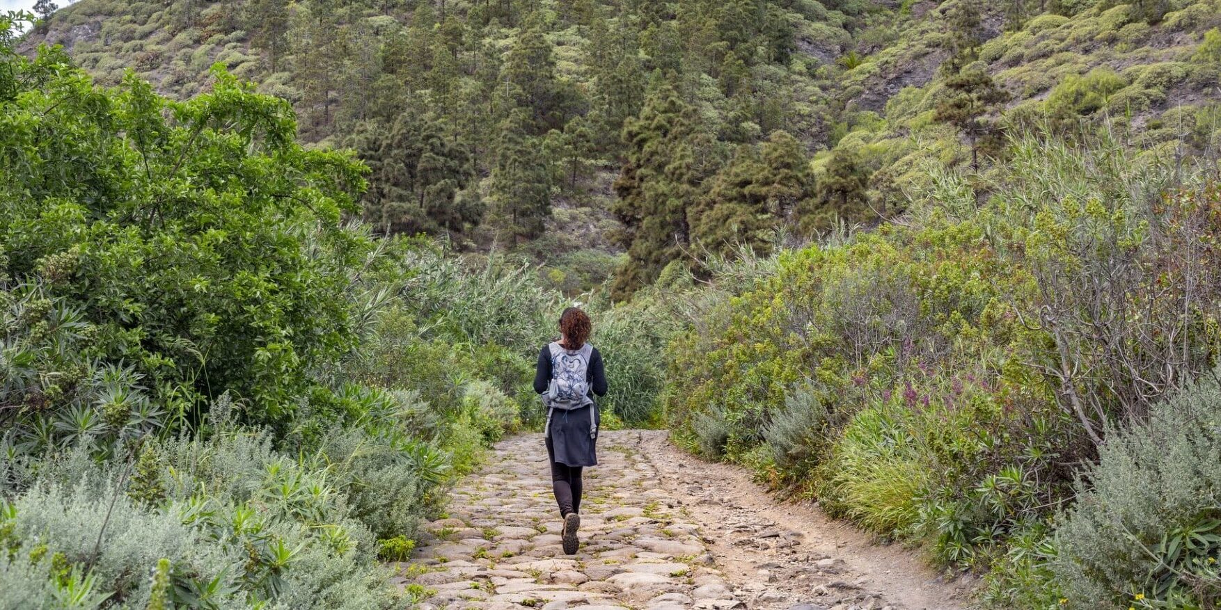 Sendero Guiniguada