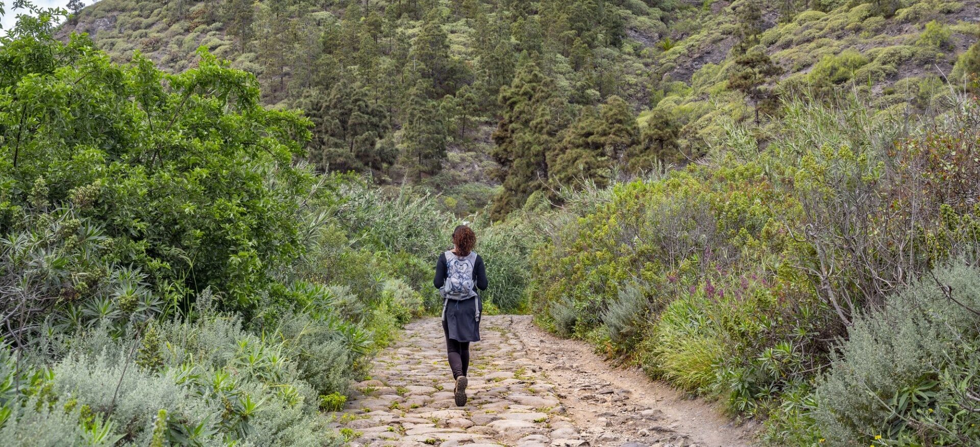 Sendero Guiniguada