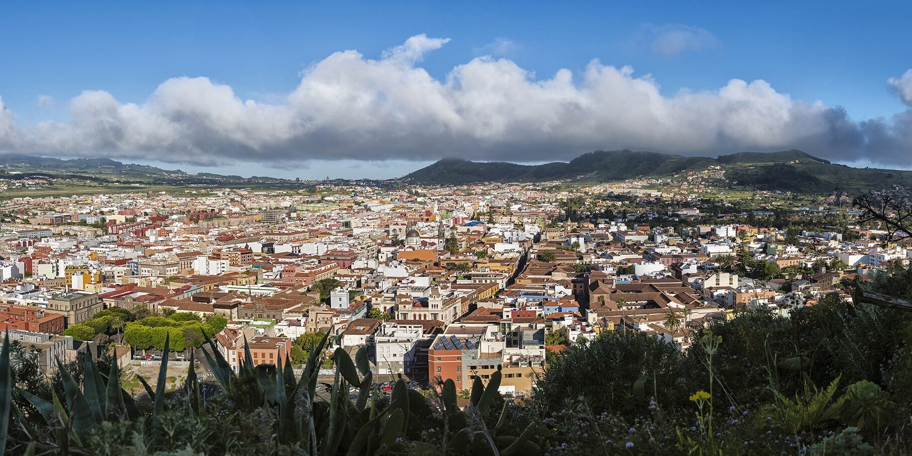Vista de La Laguna