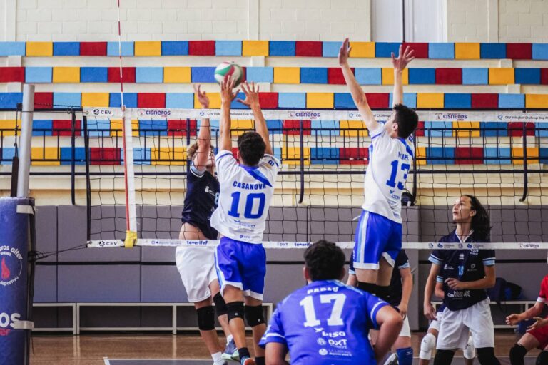 voleibol