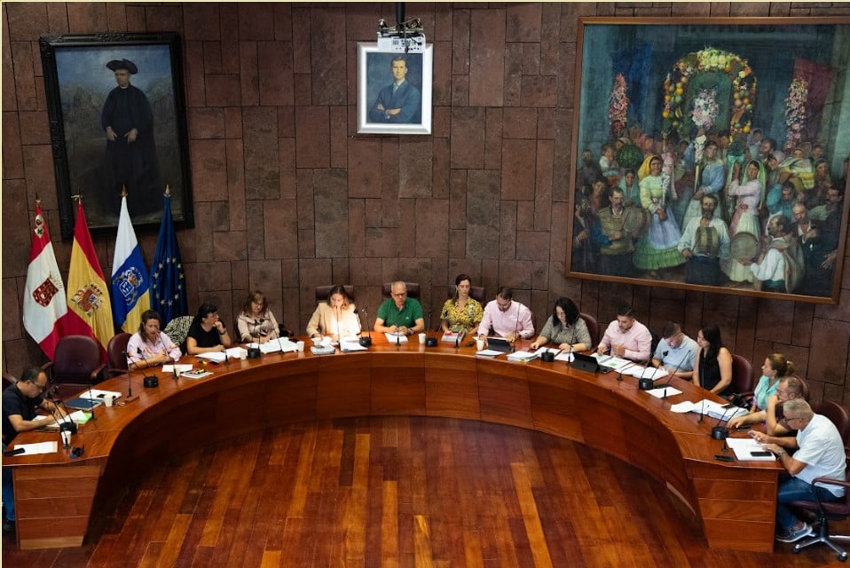 211125 Pleno del Cabildo de La Gomera