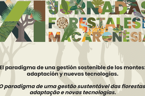 241125 Cartel XI Jornadas Forestales de la Macaronesia