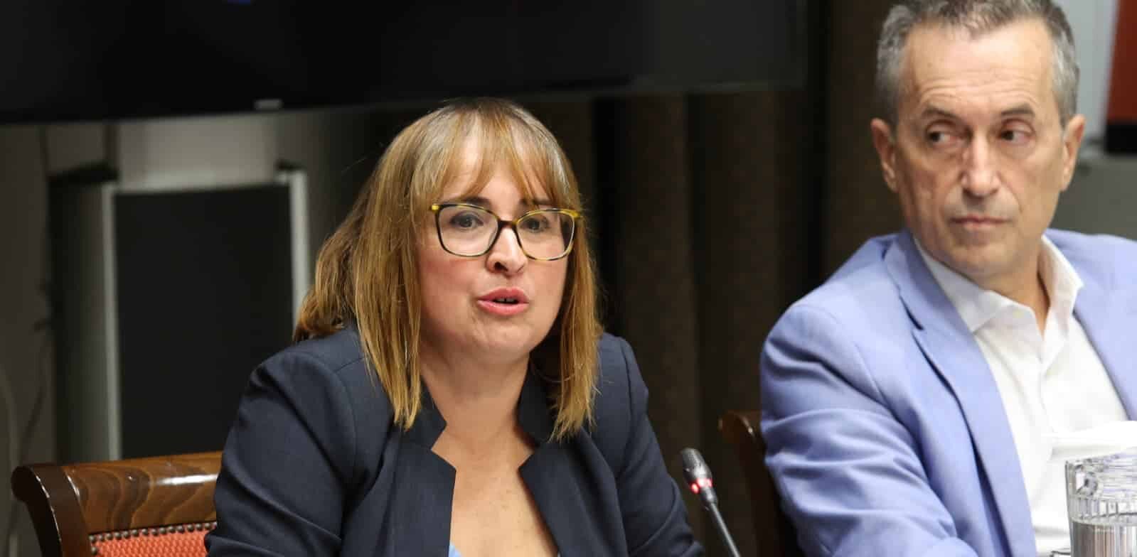 241125 Rosa Elena García, en la Comisión de Cabildos Insulares del Parlamento de Canarias