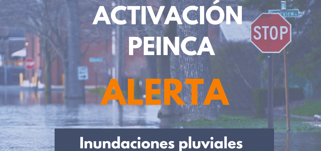 ALERTA EN CANARIAS POR INUNDACIONES PLUVIALES-ACTIVADO EL PEINCA 11-11-25