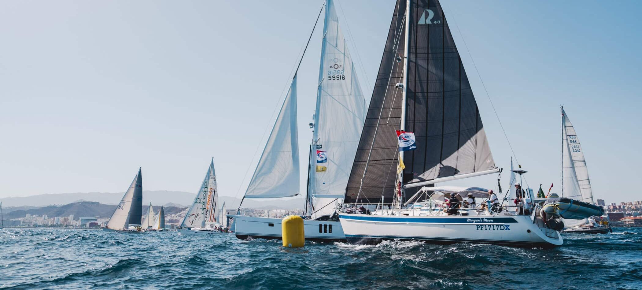 ARC Plus 2024_LP_Start_