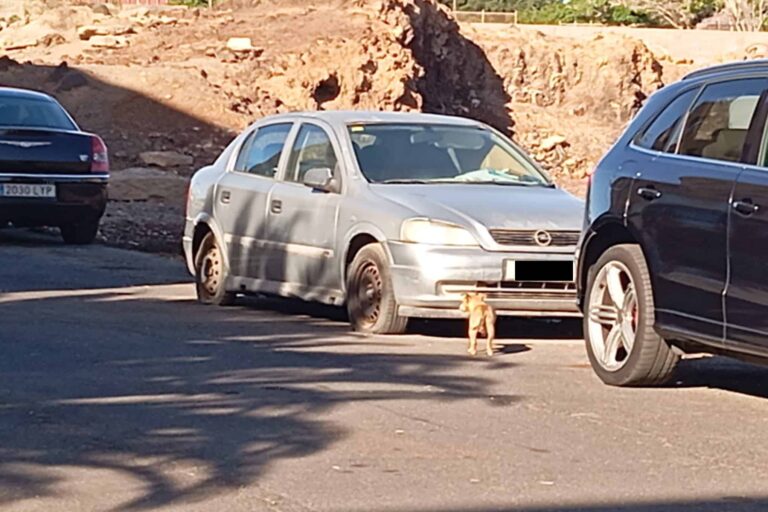 Abandonados El Fraile 2