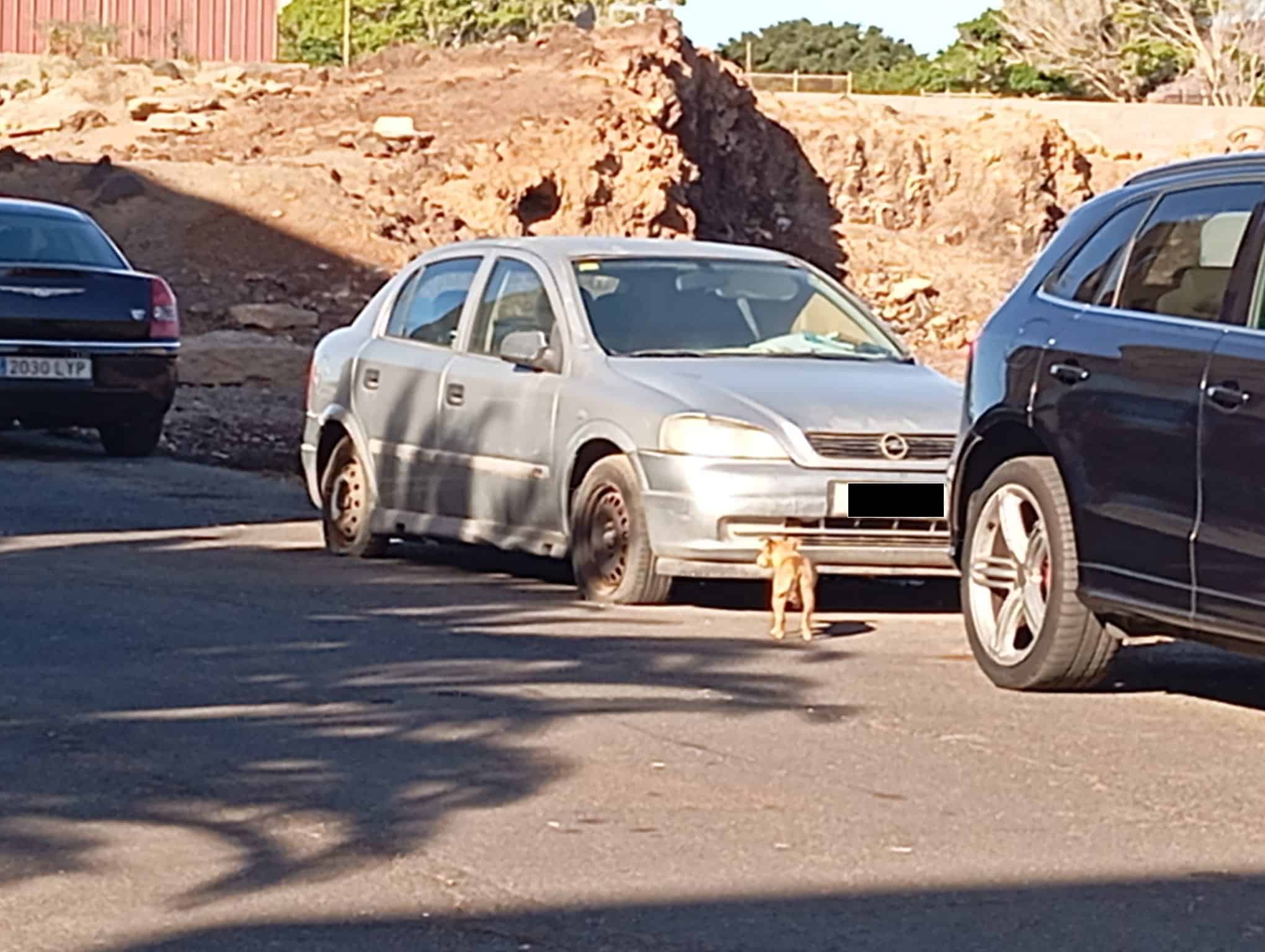 Abandonados El Fraile 2