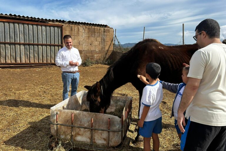 Equinoterapia 1