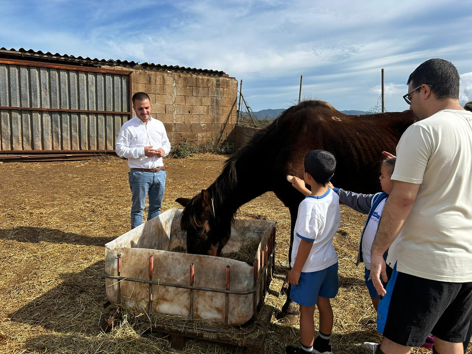 Equinoterapia 1