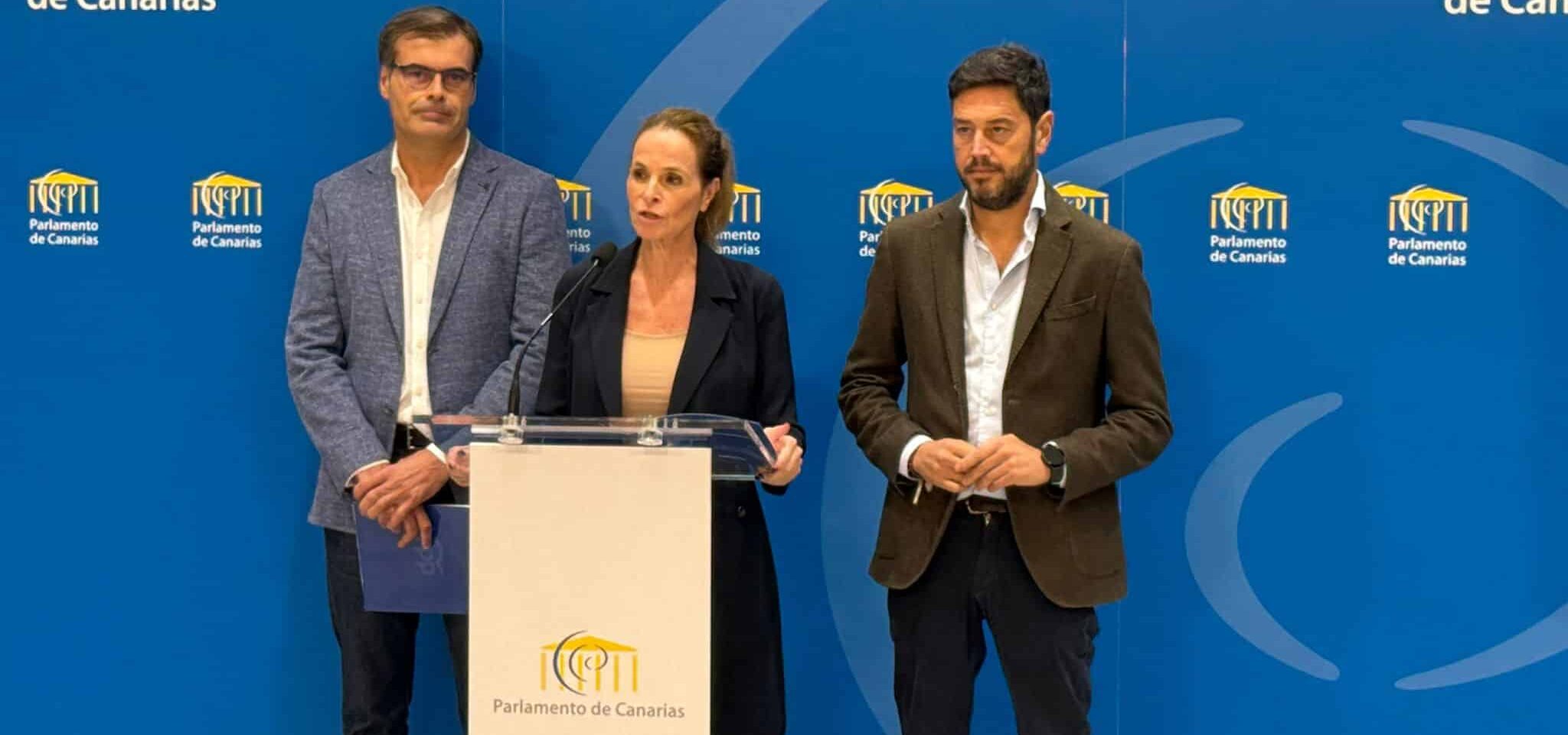 Los diputados del Grupo Parlamentario Popular Luz Reverón, Fernando Enseñat y Jacob Qadri