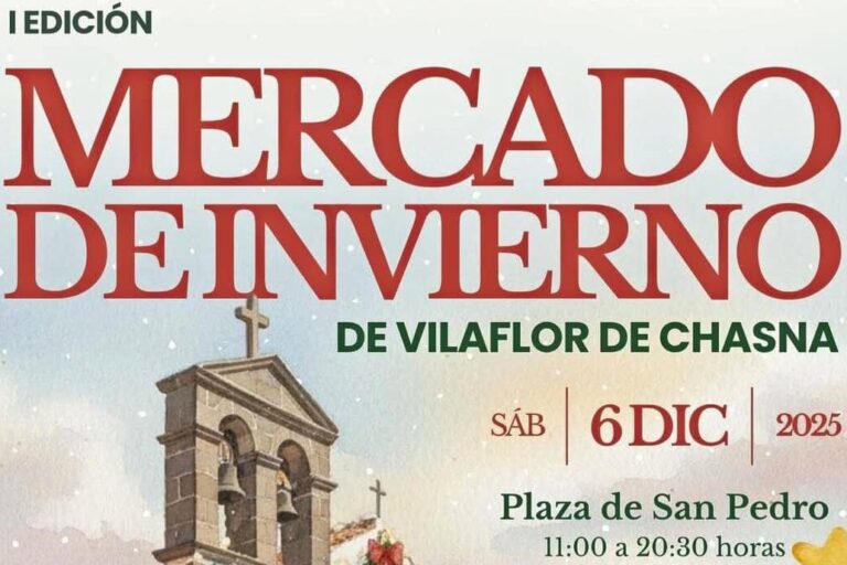 Mercado de invierno 2