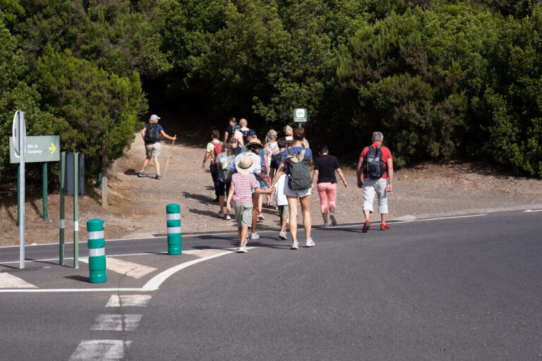 Turistas en el Parque Nacional de Garajonay