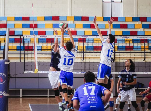 voleibol