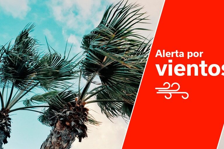 ALERTA POR VIENTOS EN CANARIAS 11-12-25