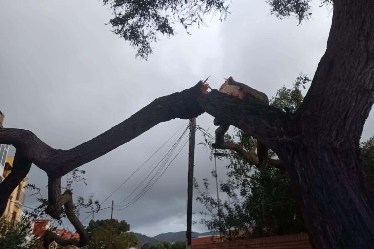 Incidencias temporal_1