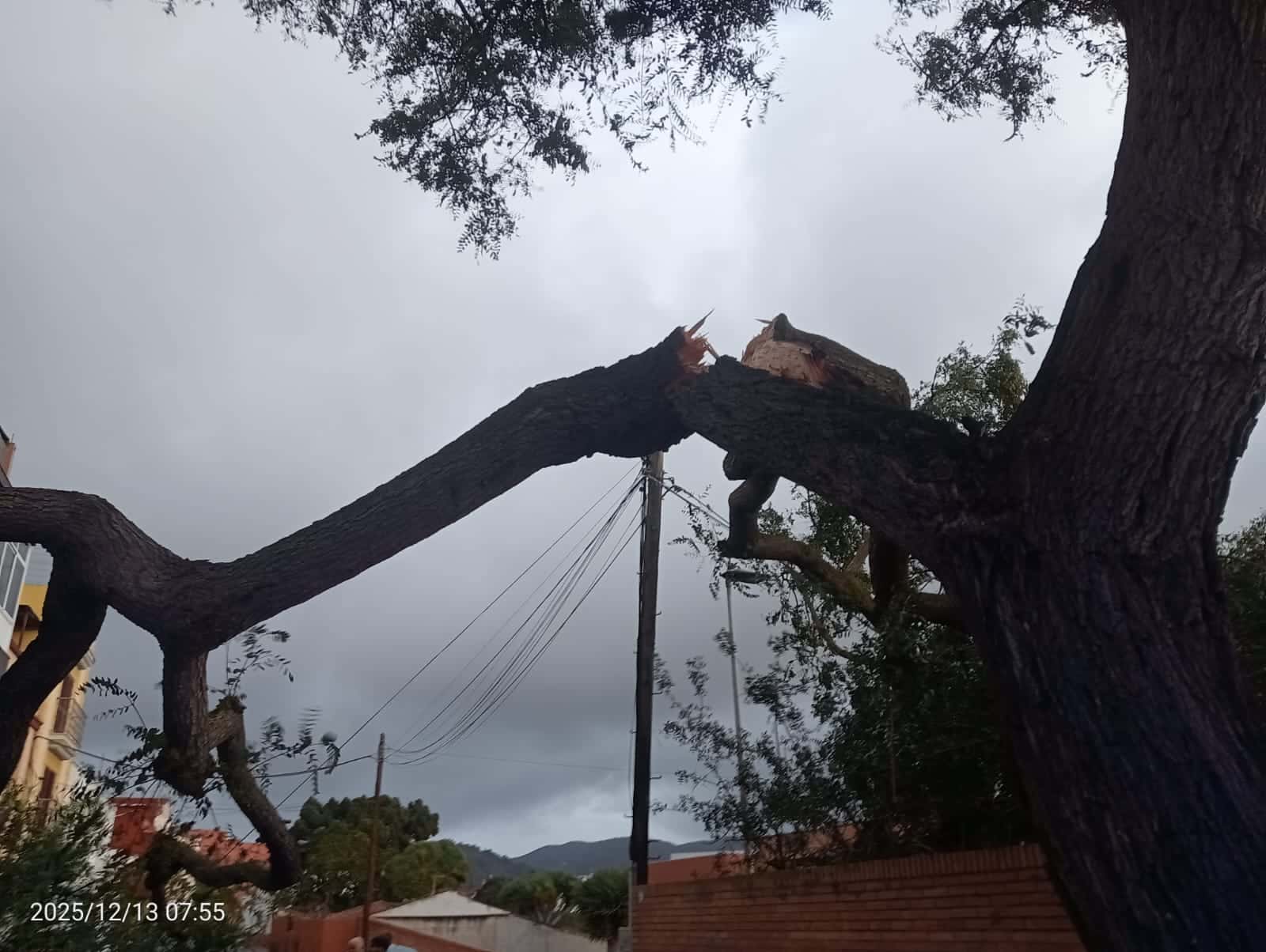 Incidencias temporal_1