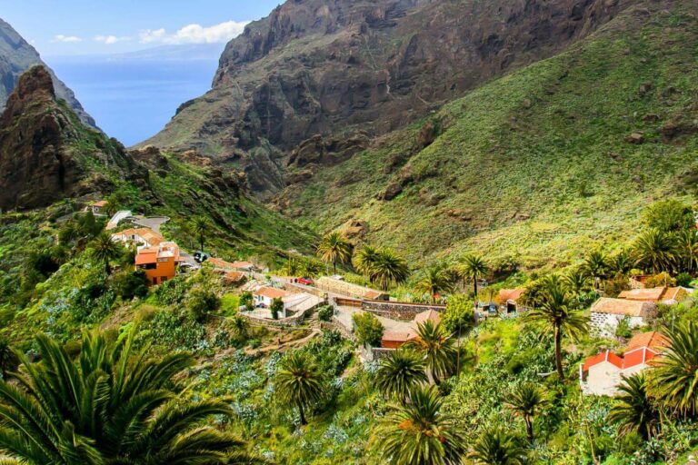 MASCA 001