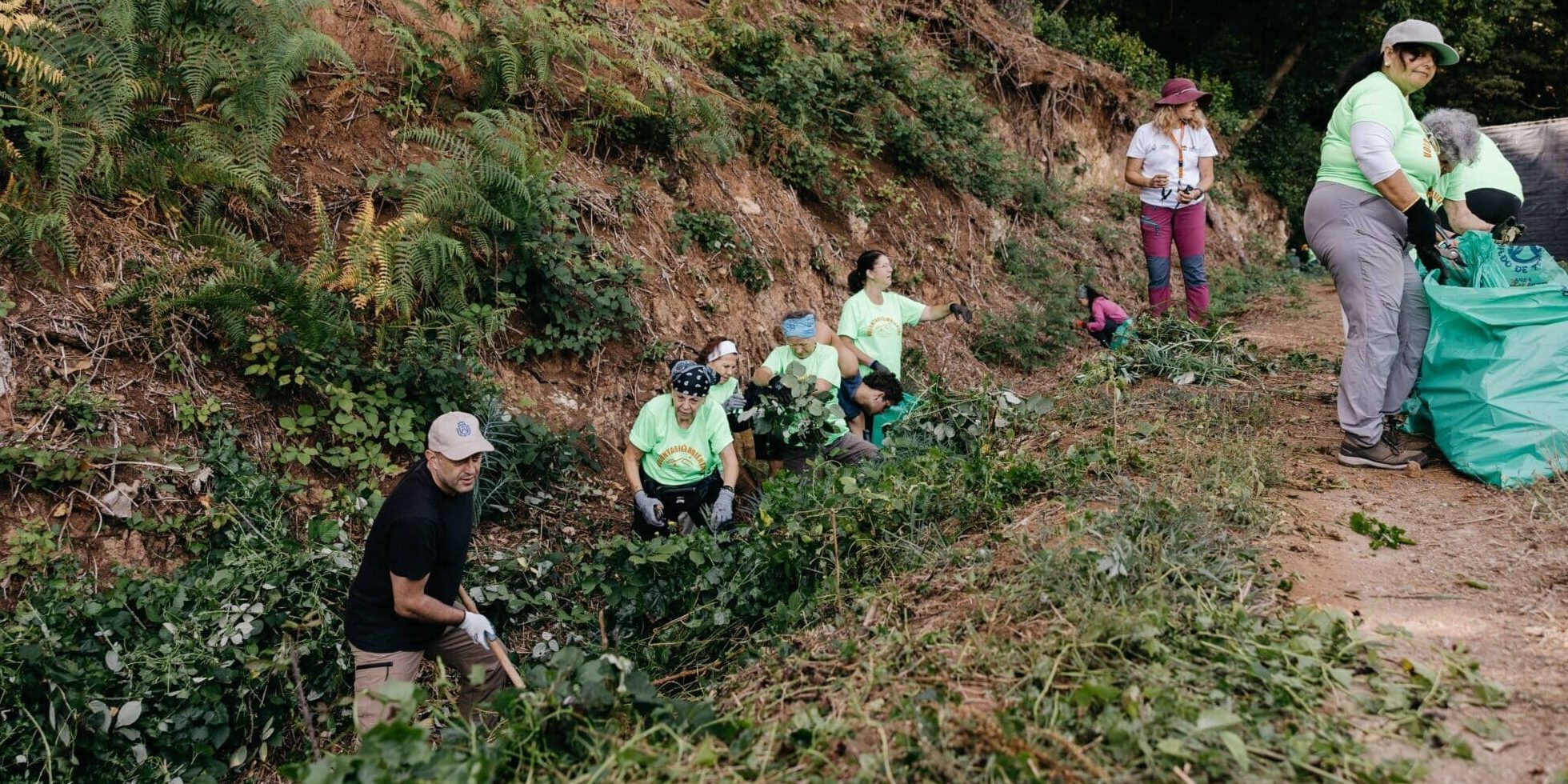Medio Natural-Voluntariado Ambiental-Erradicación flora exótica