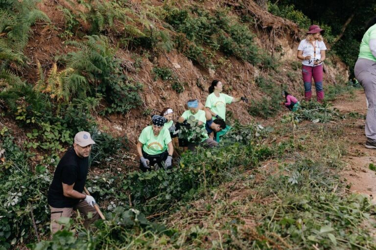 Medio Natural-Voluntariado Ambiental-Erradicación flora exótica