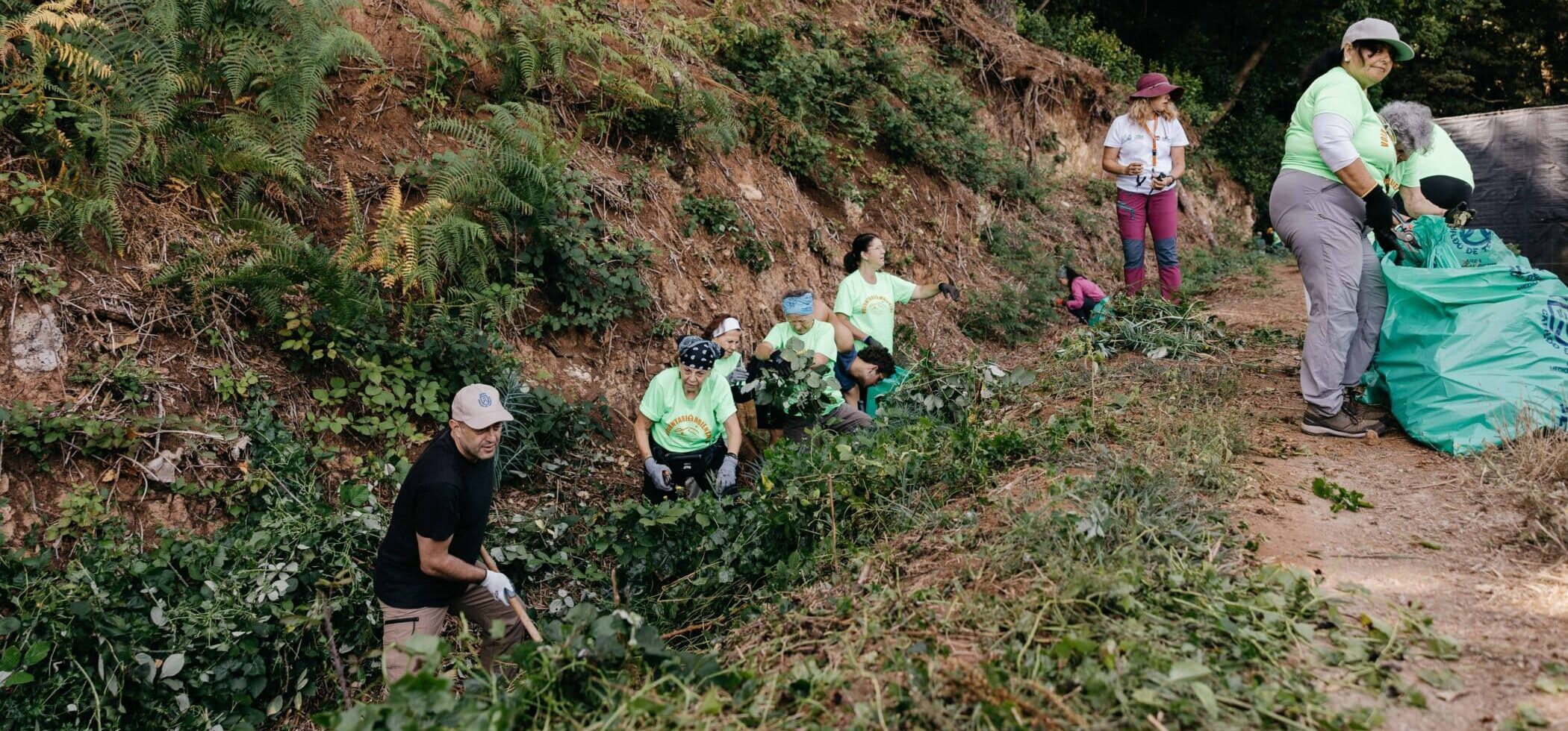 Medio Natural-Voluntariado Ambiental-Erradicación flora exótica