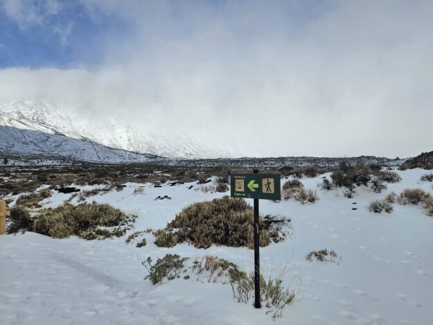 Nevada 001