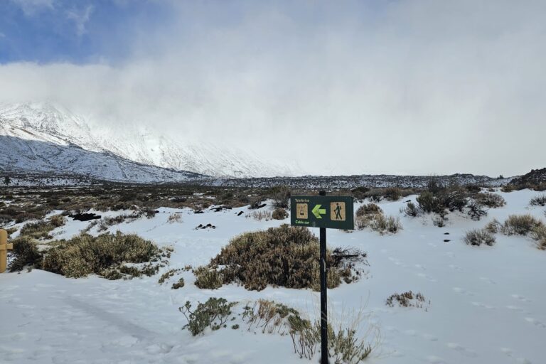 Nevada 001
