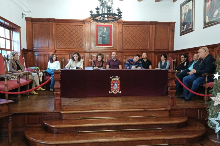 PLENO 17 DE DICIEMBRE 2025