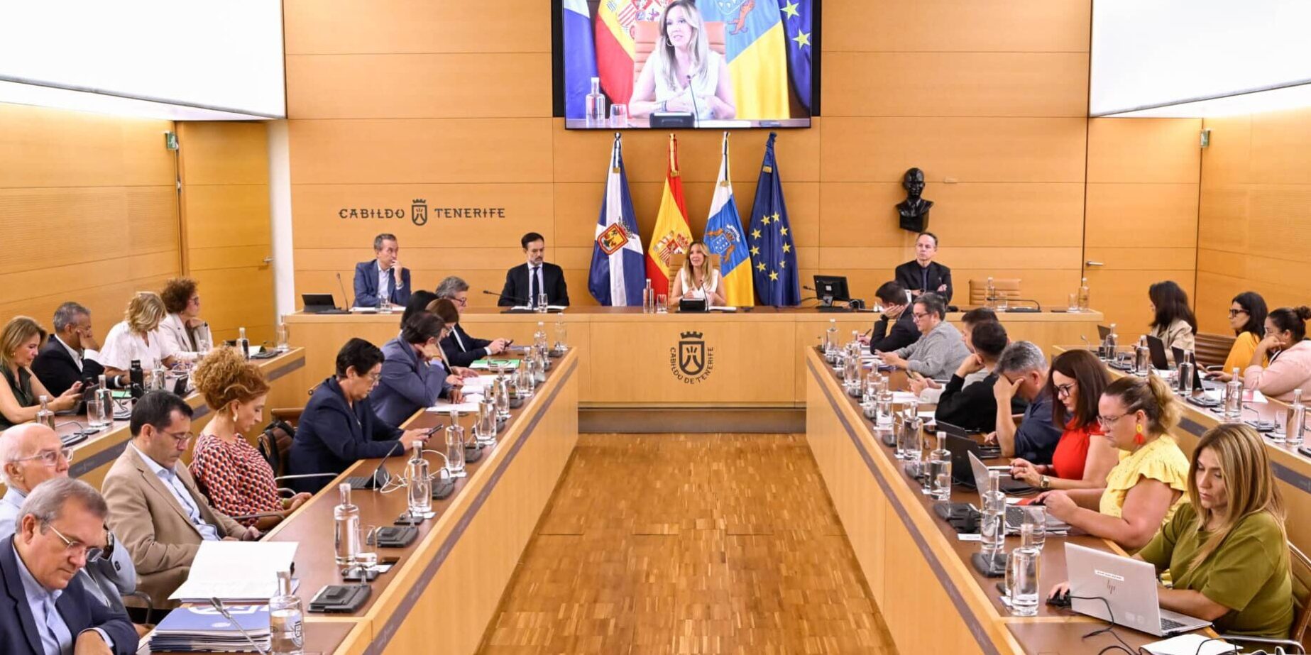 Pleno Cabildo de Tenerife