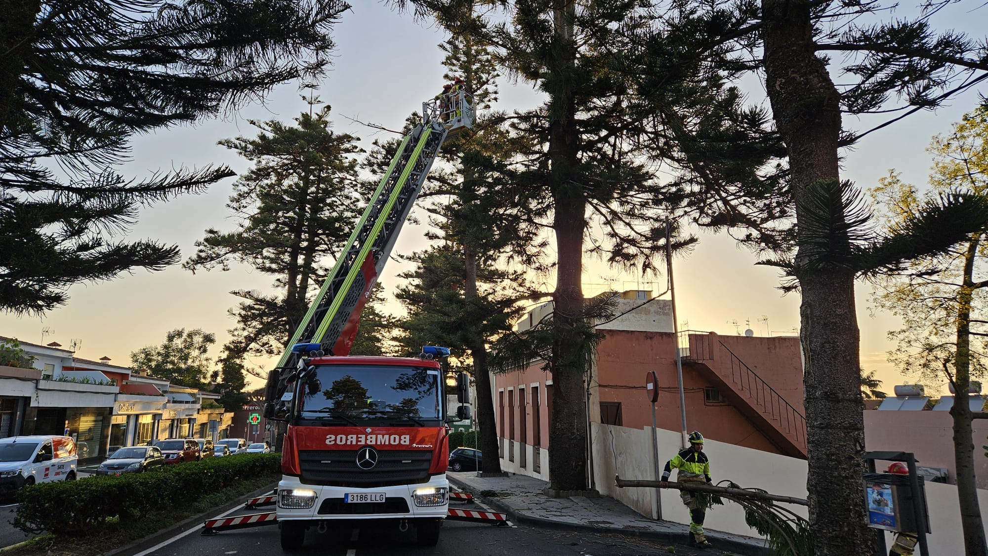 actuación de bomberos en julio por caída de ramas