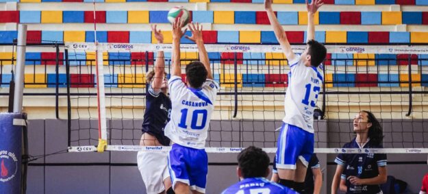 voleibol
