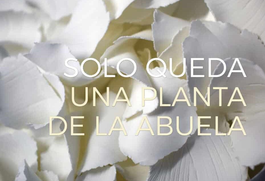 260114 Cartel Solo queda una planta de la abuela