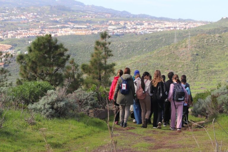 260127 Monte de las mesas-rutas 2 (1)