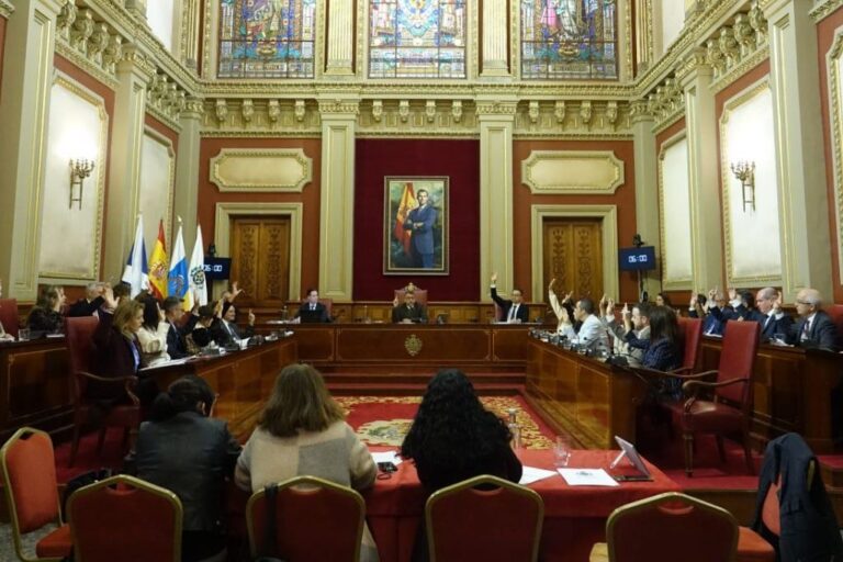 260130 Pleno enero 2026