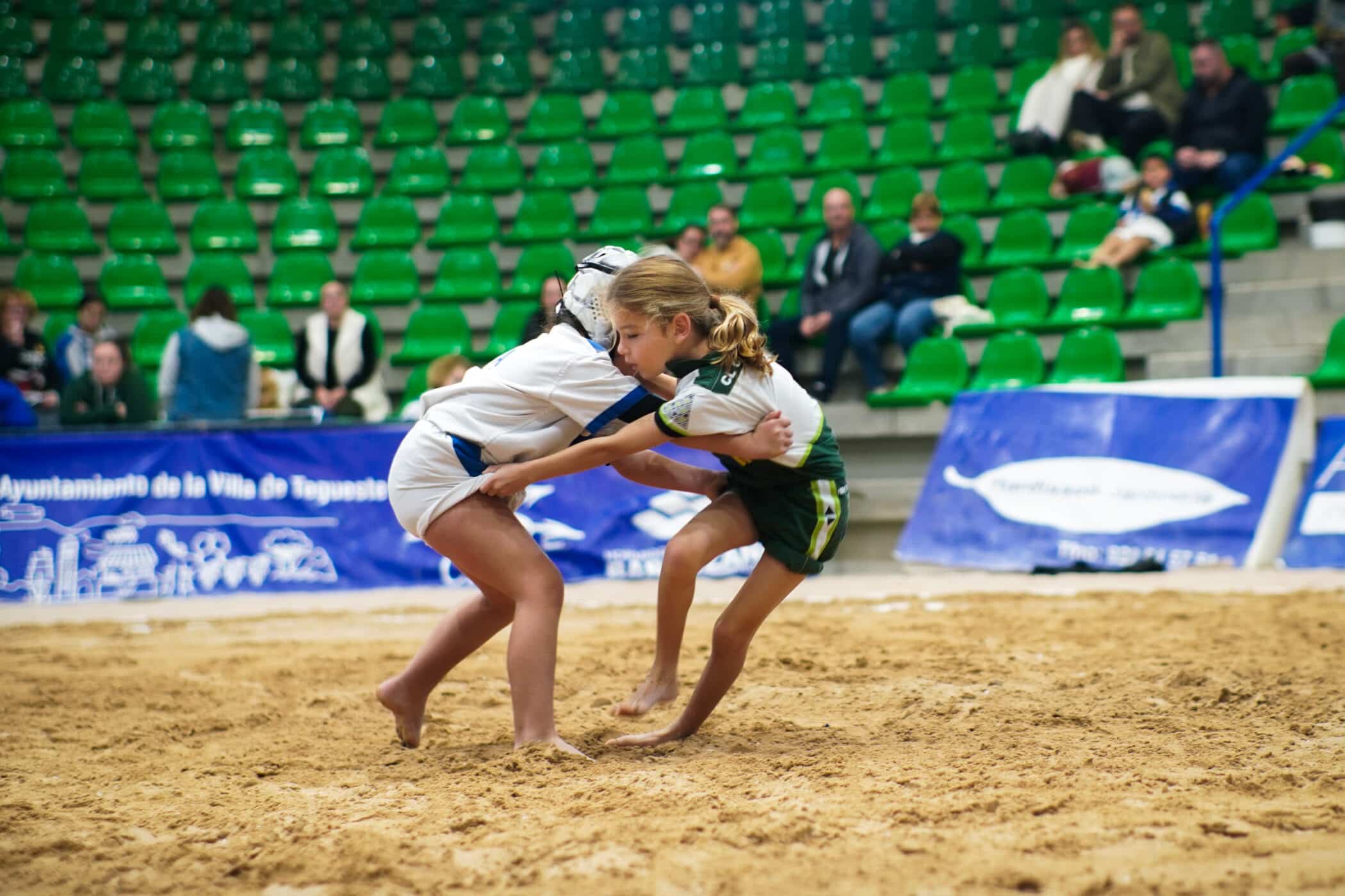 lucha canaria