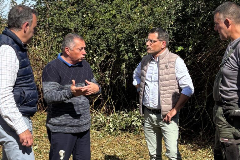 090226 Proyectos de limpiez y desbroce barrancos pistas forestales y caminos agr�colas