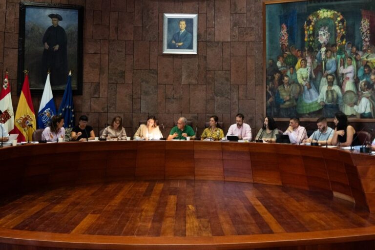 160226-foto-de-archivo-pleno-del-cabildo-insular-de-la-gomera